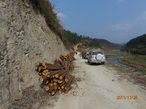 �D��ɽ�ϵ�ԭľ �c(di��n)���ɷŴ�