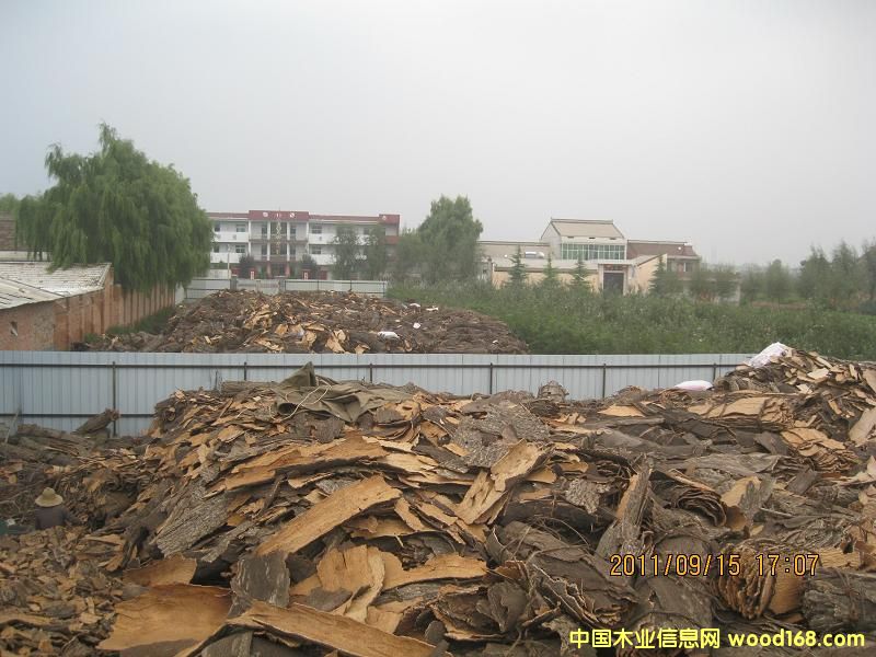 �D�����(d��ng)�F(xi��n)�� �c(di��n)���ɷŴ�