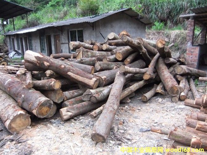 �D����ľ �c(di��n)���ɷŴ�