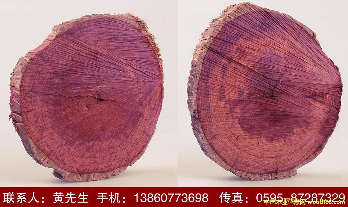 �D����֦ľ �c���ɷŴ�