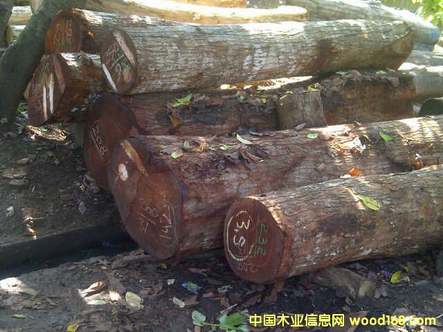 �D��ӡ���һ�оľ �c(di��n)���ɷŴ�