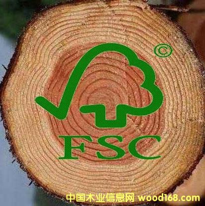 �D����˾�DƬ �c���ɷŴ�