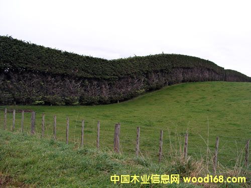 �D�������m����ؘ�(sh��)�� �c(di��n)���ɷŴ�