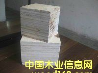 �D���_�K �c���ɷŴ�