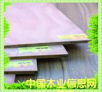 �D�����B(t��i)�� �c���ɷŴ�