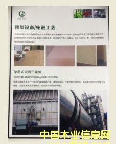 �D��피��O(sh��)��/���M(j��n)��ˇ �c���ɷŴ�