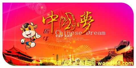 �D����ţ3 �c(di��n)���ɷŴ�