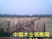 �D����ľ�ΰ� �c���ɷŴ�