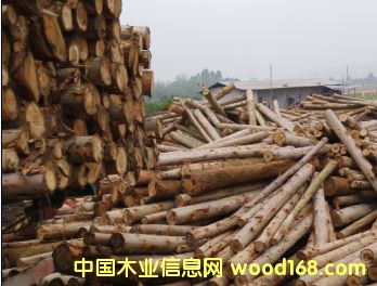 �D������������ľ����ľ �c���ɷŴ�