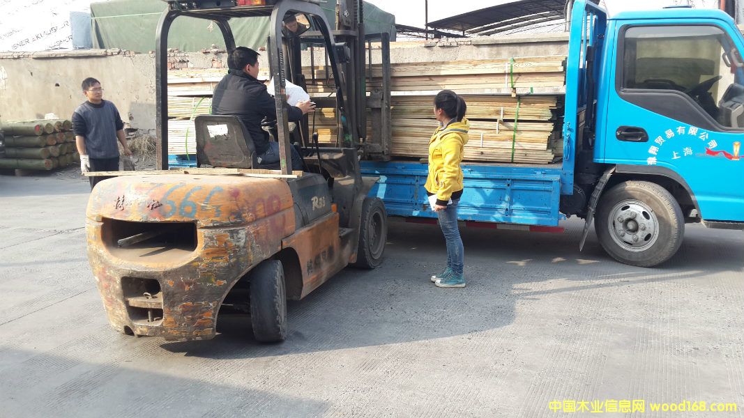 �D���l(f��)؛�� �c���ɷŴ�