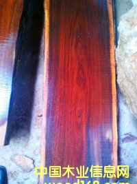 �D�����K���ݬF(xi��n)؛ԭľ���~��̴ֱ��35--65�����L��2.8�� �c(di��n)���ɷŴ�