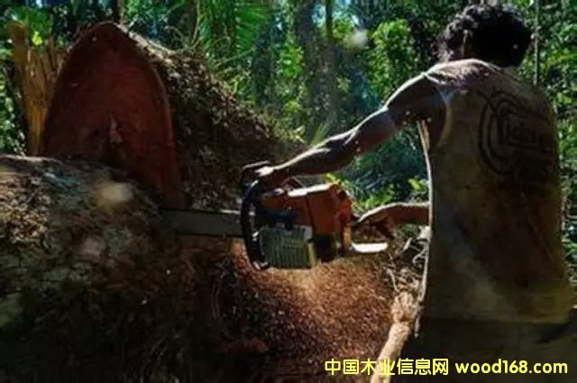 �D����������Ϣ���W(w��ng)2��8�Ո�(b��o)������ý�Q���Ї��¸��A�Ӳ����j���������������L�|�ρ���ϡľ�ĵķǷ��Q(m��o)���������l(f��)���ξo������Y�Y(ji��)�ǖ|�ρ����ҵ���Ȼ�YԴ���������޴�ı��������� �c(di��n)���ɷŴ�