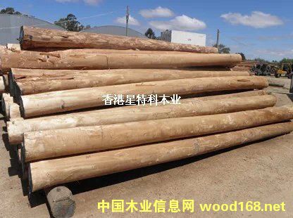 �D���Ĵ�������ľ ���� �c(di��n)���ɷŴ�