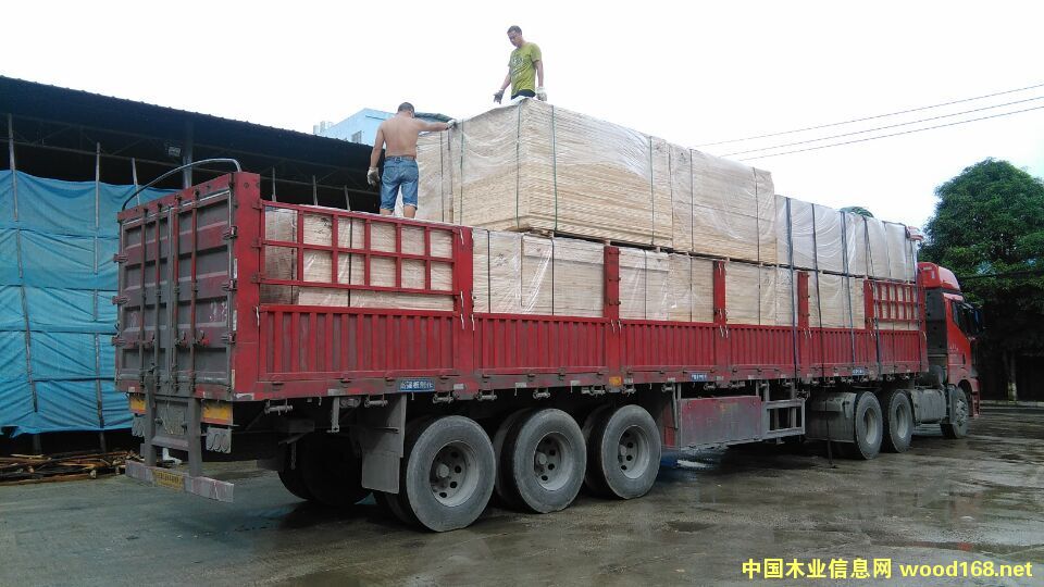 �D���l(f��)؛�F(xi��n)�� �c���ɷŴ�