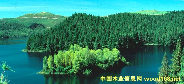 �D���҂��Ĺ��S �c(di��n)���ɷŴ�