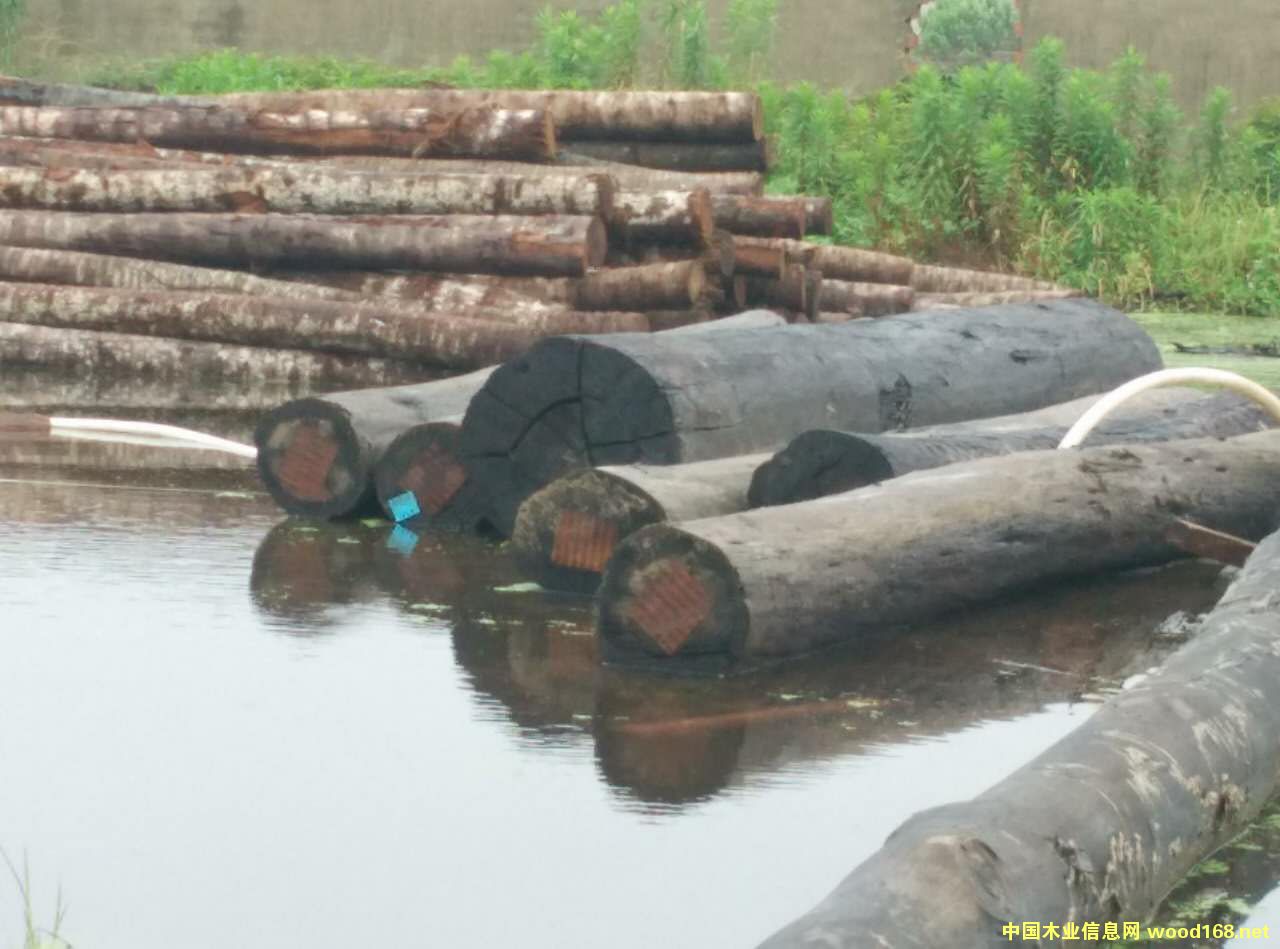 �D���Ĵ�������ľ ���� �c(di��n)���ɷŴ�