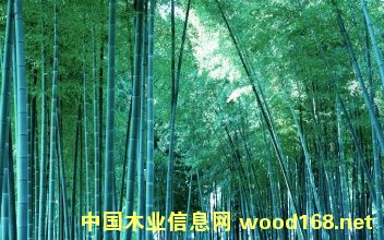 �D����(y��u)�|(zh��)��Ƭ �c���ɷŴ�