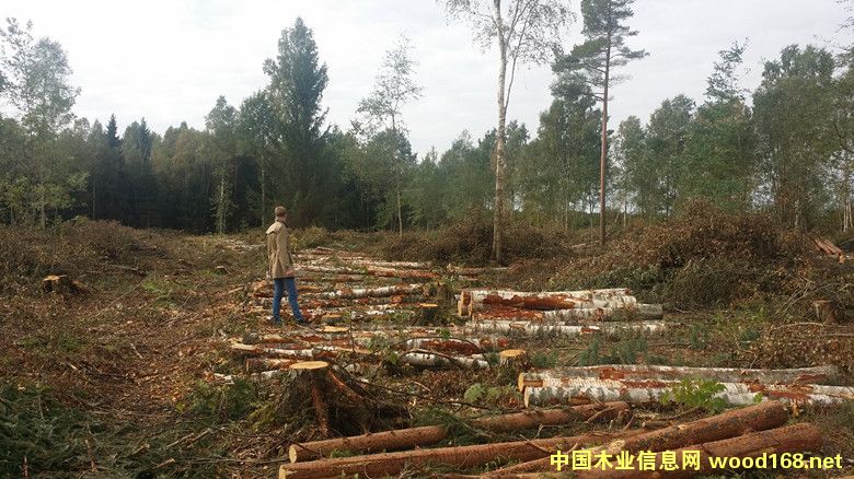 �D�����Wԭľ �c���ɷŴ�