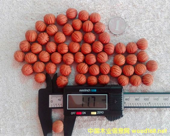 �D������10-45mm�������^���� �c���ɷŴ�