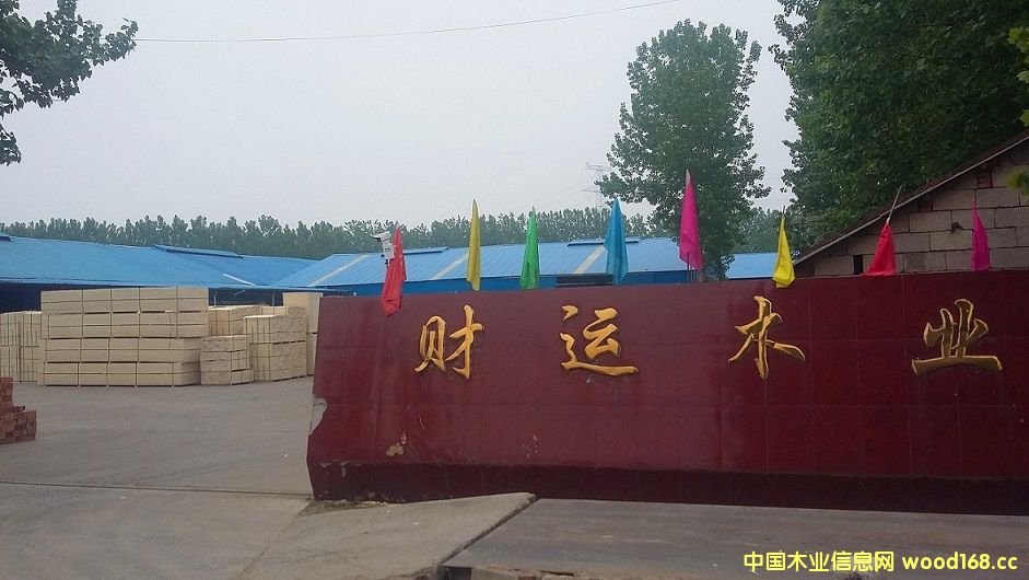 �D���R�����mɽ�^(q��)ؔ�\��S �c���ɷŴ�