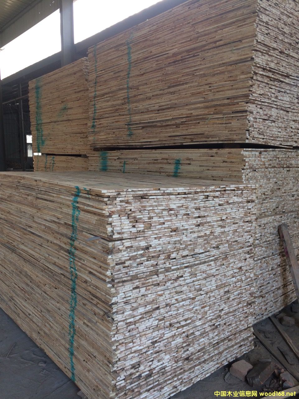 �D����(x��)ľ�� �c���ɷŴ�