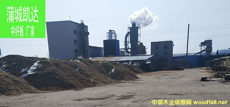 �D���P�_(d��)ľ�I(y��)�S�� �c���ɷŴ�