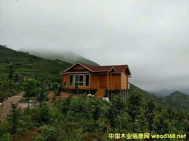 �D�����Tľ�ݺ��� �c(di��n)���ɷŴ�