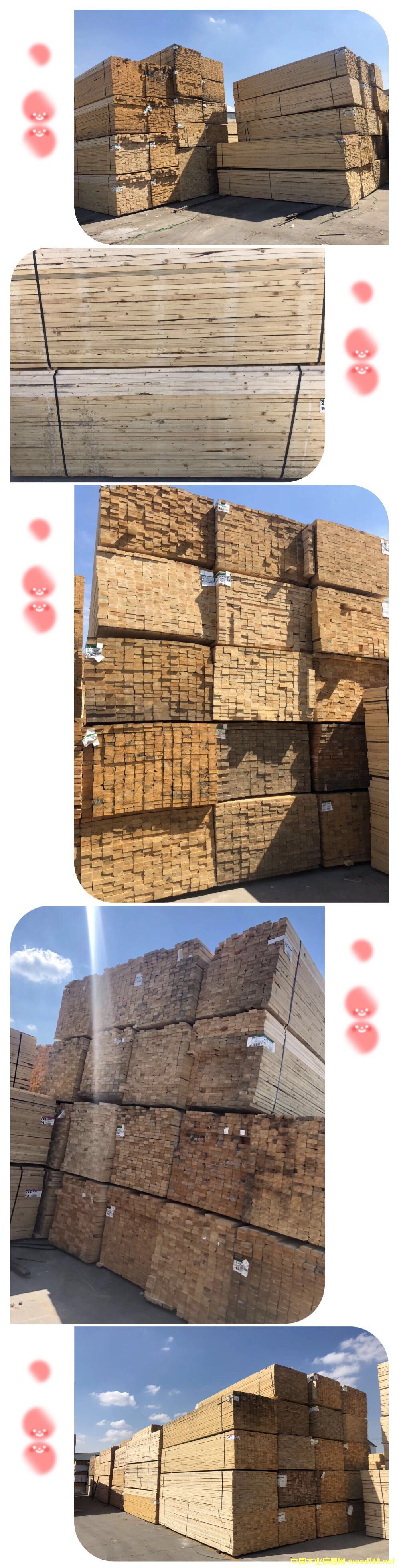 �D����˹��-38*89 �c���ɷŴ�