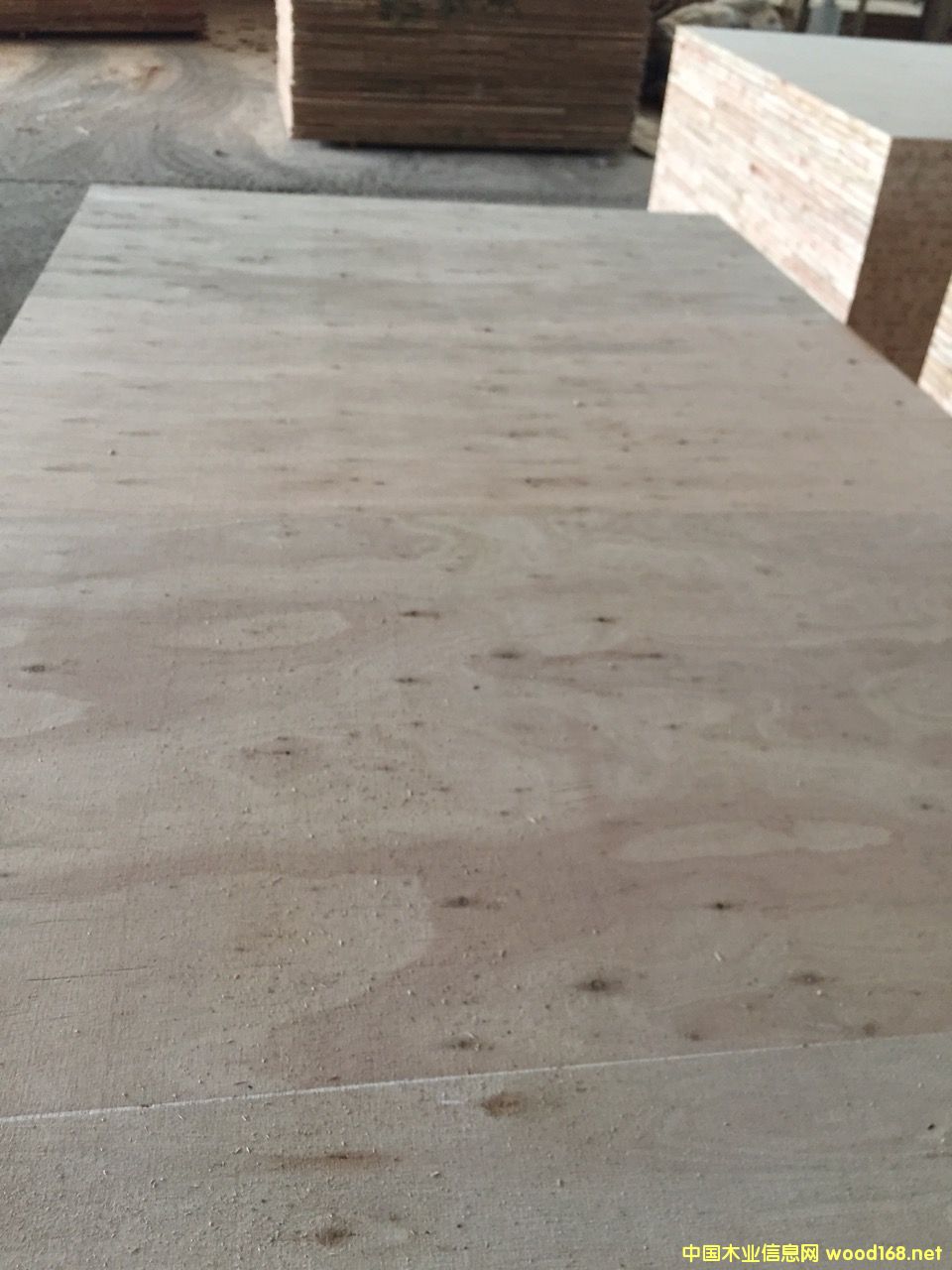 �D���T�װ� �c(di��n)���ɷŴ�