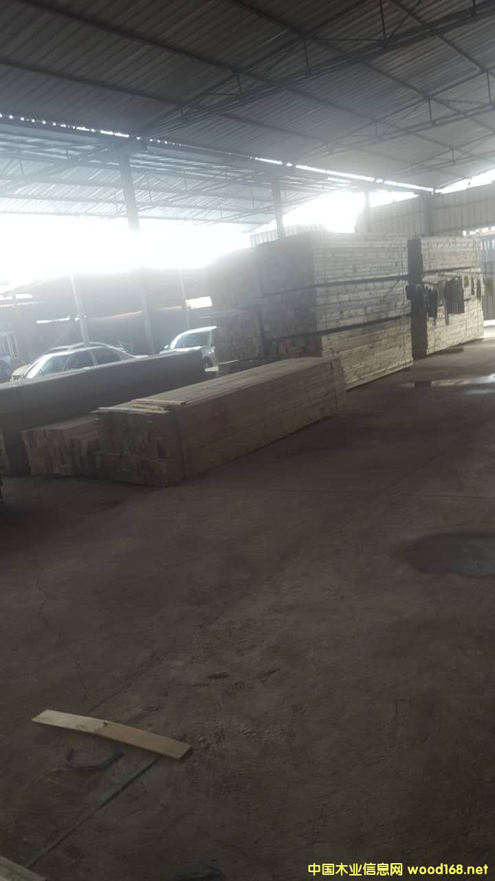 �D���ӹ��^(q��)�� �c���ɷŴ�