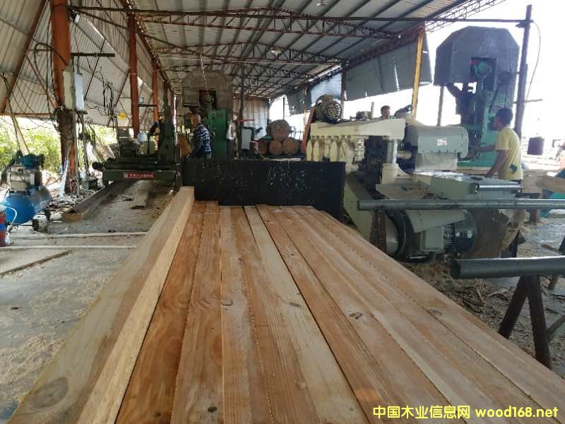 �D�����S �c���ɷŴ�