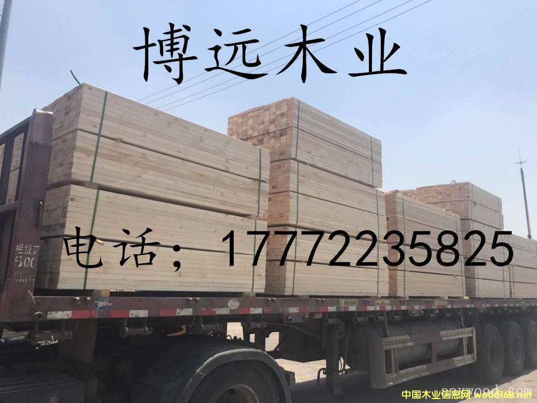 �D��101 �c(di��n)���ɷŴ�