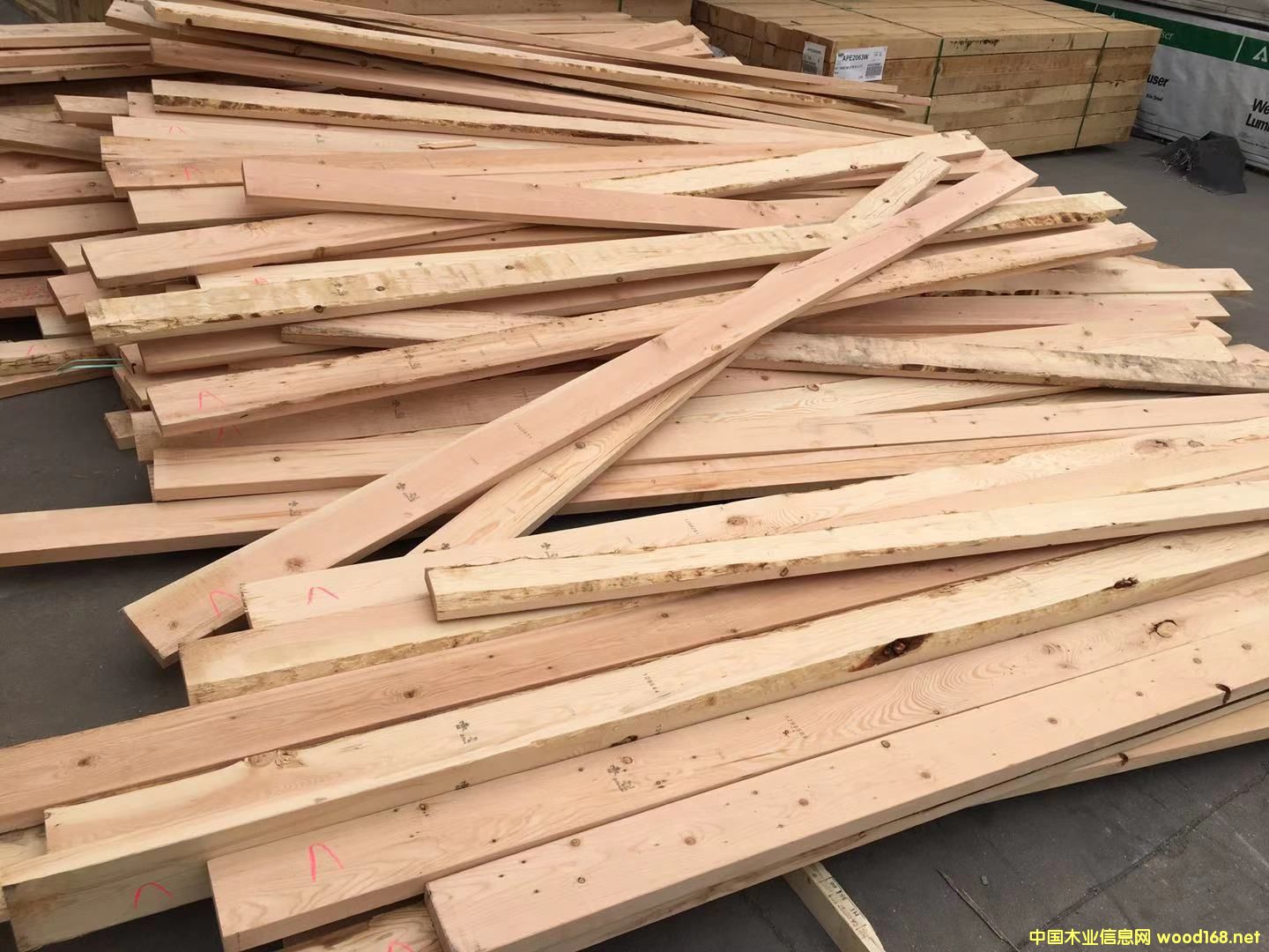 �D���Fɼ������� �c(di��n)���ɷŴ�