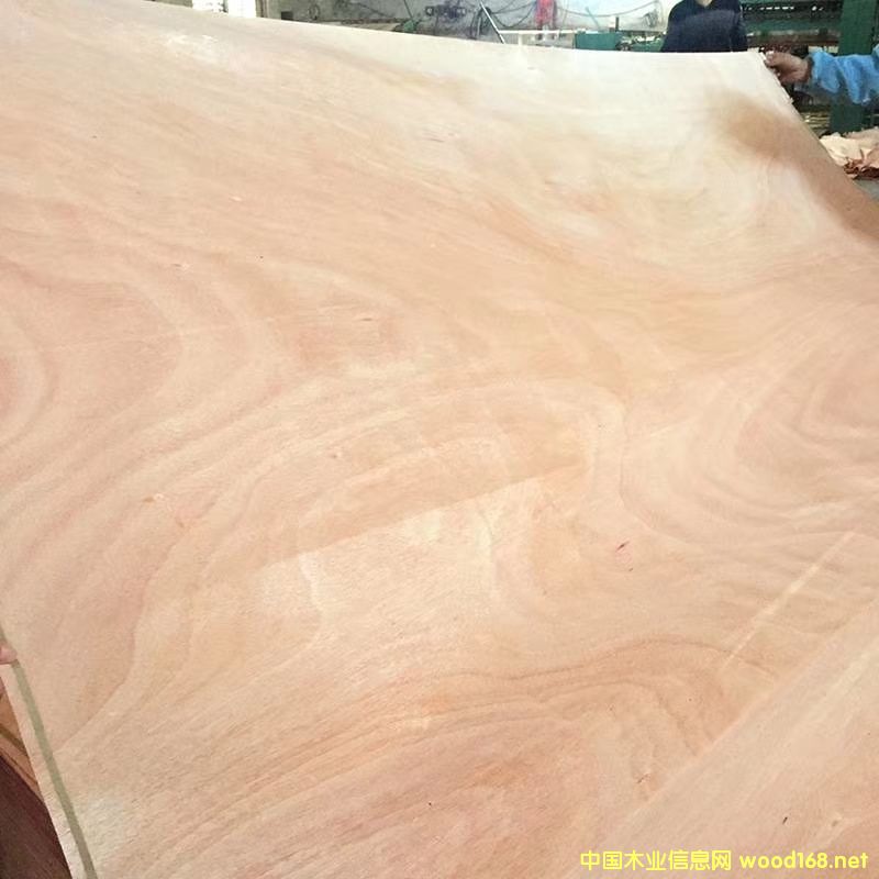 �D���һ�о��Ƥ �c(di��n)���ɷŴ�