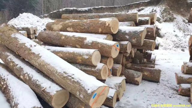 �D��ԭľ �c���ɷŴ�