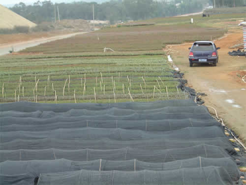 �D�����(ch��ng)һ�� �c(di��n)���ɷŴ�