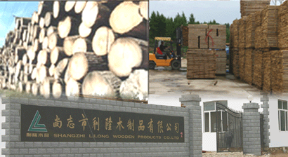 �D���Sò �c���ɷŴ�