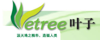 �D��logo �c(di��n)���ɷŴ�