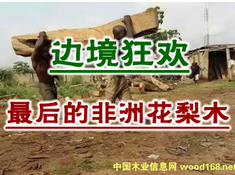 ���ķ��޻���ľ