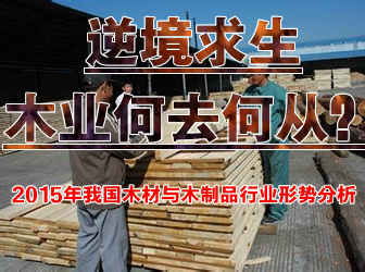 �澳������ľ�I(y��)��ȥ�Ώ���