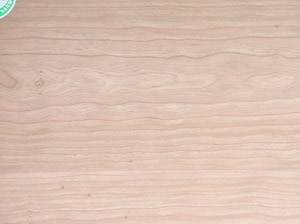 b��(j��)�����z�ϰ��Ԕ��(x��)��B