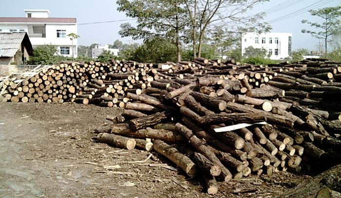 ԭľ��Ԕ��(x��)��B