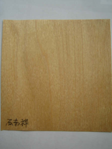 �ߙn�z�ϰ��Ԕ��(x��)��B