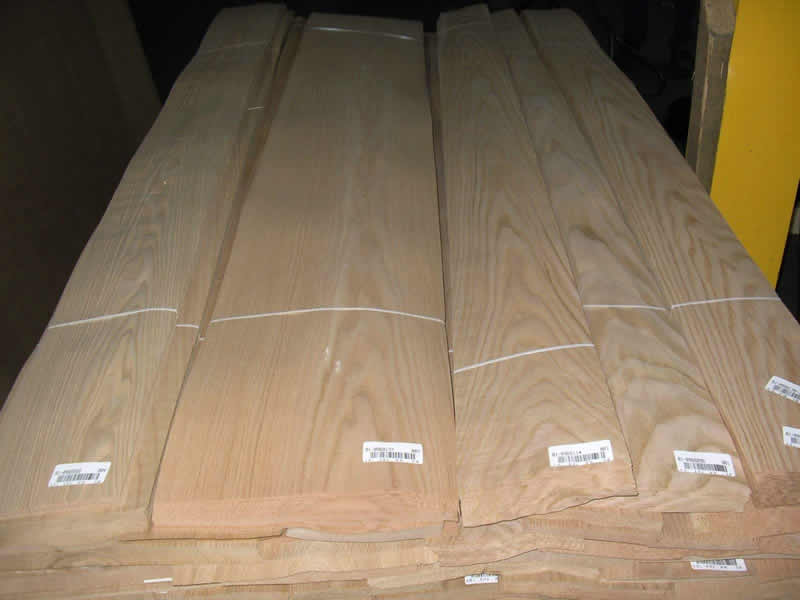 ����ľƤ--�t���Ԕ����B