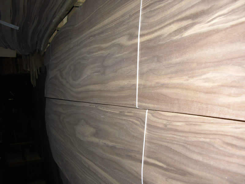 ����ľƤ--�ں��ҵ�Ԕ����B