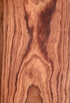 �Ҳ�����(y��ng)ľƤ��Ԕ��(x��)��B