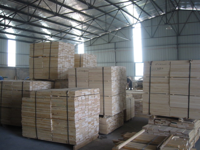 �����m�ɟo��(ji��)Ҏ(gu��)���