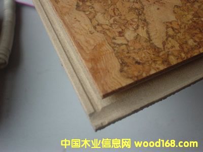 ܛľ�ذ��Ԕ��(x��)��B