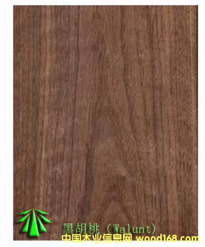 ���ҵ�Ԕ����B