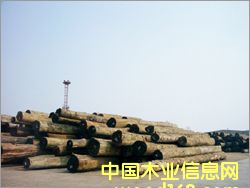 ���}���Ԕ����B